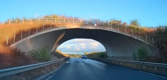 A grassed bridge over a dual carriageway under a blue sky
